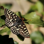 White Point Nature Preserve