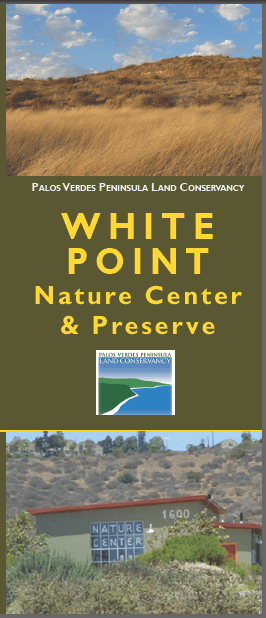 White Point Trail Brochure