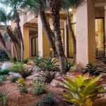 Courtyard Los Angeles Torrance/Palos Verdes Nips Flower Beds In The Bud, Plants Drought-Resistant Plants