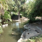 Averill Park