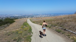 Deane Dana Friendship Park and Nature Center