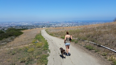 Deane Dana Friendship Park and Nature Center