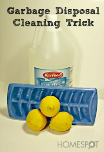 garbage disposal cleaning
