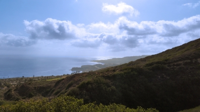 Forrestal Nature Reserve