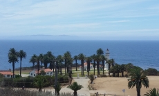 Alta Vicente Ecological Reserve