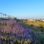 22nd Street Park