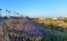 10 Surprising South Bay Neighborhood Features That Add Value to Your House