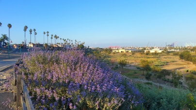 22nd Street Park