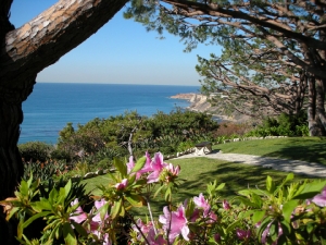 Wayfarers View