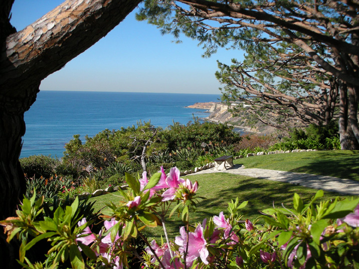 Wayfarers View