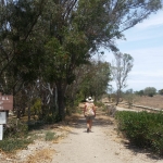 Landfill Loop Trail