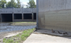 Harbor City Greenway