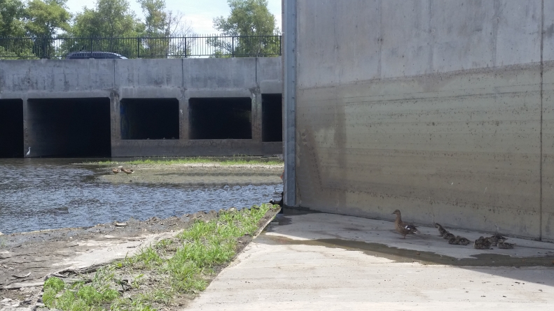 Harbor City Greenway