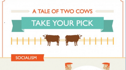 A Tale of Two Cows