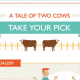 A Tale of Two Cows
