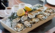 Oyster Happy Hours
