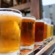 The 9 Best Craft Breweries in the South Bay