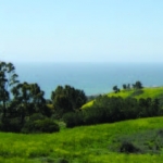Filiorum Reserve