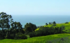 Filiorum Reserve