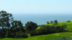 Filiorum Reserve