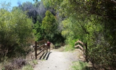 George F Canyon Preserve and Nature Center
