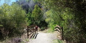 Nature Walk
