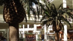 South Bay Galleria