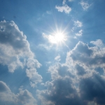 Heat Wave Survival Tips