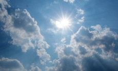 Heat Wave Survival Tips