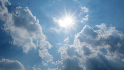 Heat Wave Survival Tips