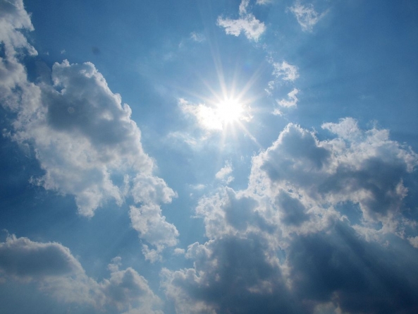 Heat Wave Survival Tips