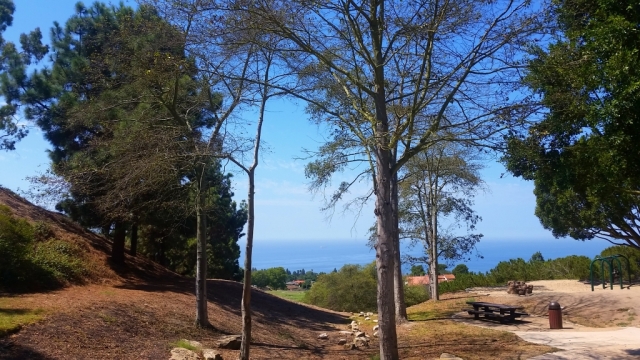 Fred Hesse Park