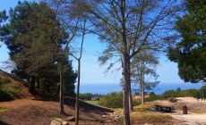 Gallery: Fred Hesse Park