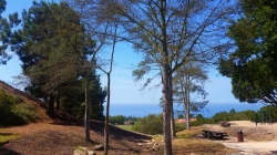 Gallery: Fred Hesse Park