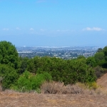 Linden H. Chandler Preserve