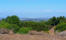 Linden H. Chandler Preserve