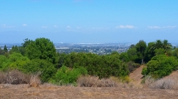 Linden H. Chandler Preserve