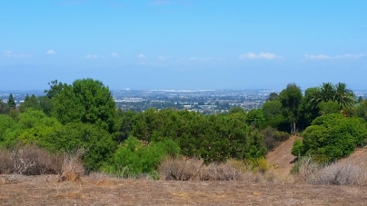 Linden H. Chandler Preserve