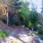Chadwick Canyon