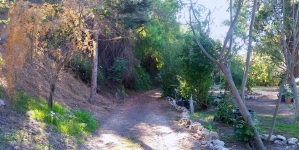 Chadwick Canyon