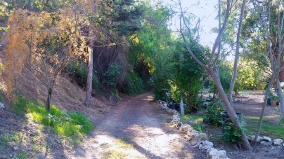 Chadwick Canyon