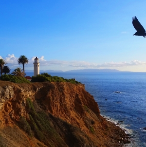 Gallery: Palos Verdes Peninsula