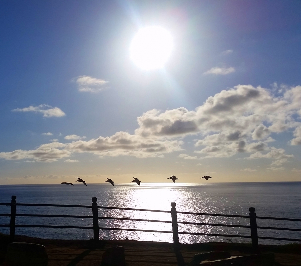 Point Vicente Park 1