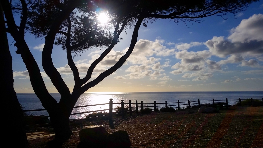 Point Vicente Park 3