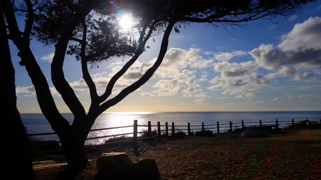 Point Vicente Park