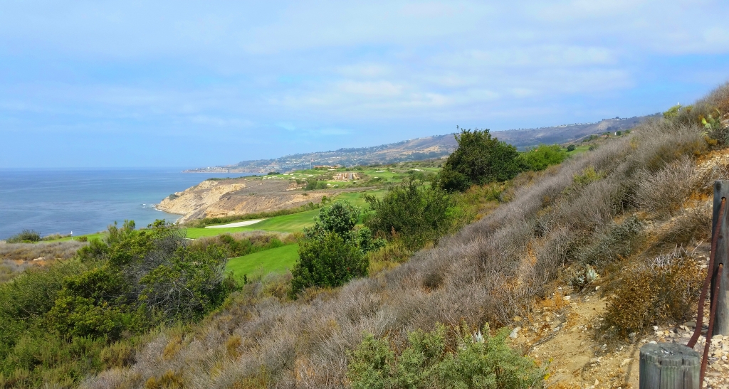 Trump Golf 2015-04-20 10.17.18