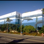 South Bay Mural Tour