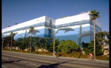 South Bay Mural Tour