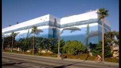 South Bay Mural Tour