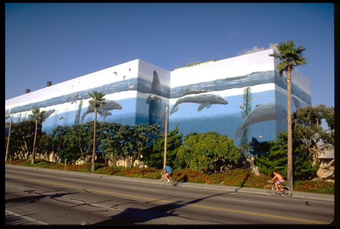 Whaling Wall Number 31